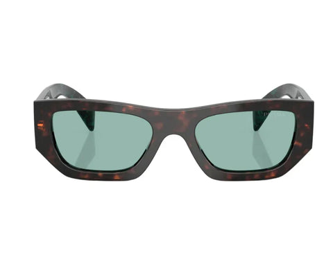 PD sunglasses   0PR A01S