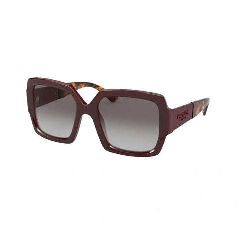 PD sunglasses   0PR 21XS