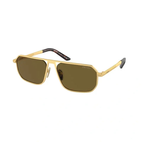 PD sunglasses   0PR A53S