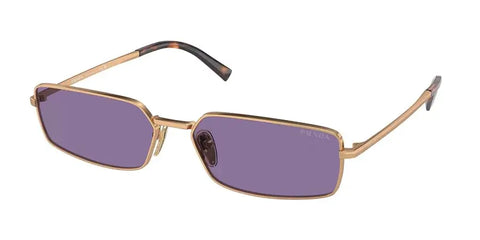 PD sunglasses   0PR A60S