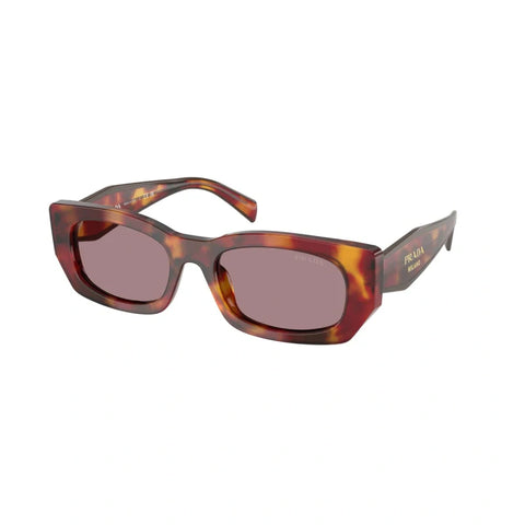 PD sunglasses   0PR B05S