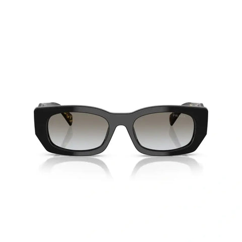 PD sunglasses   0PR B05S