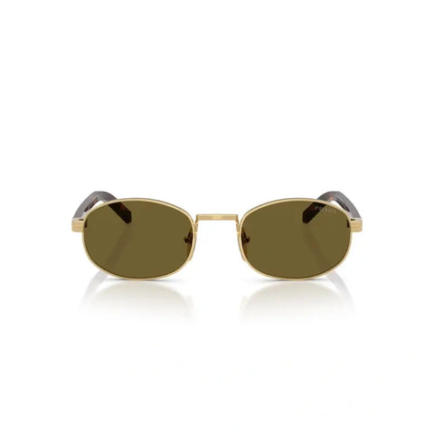 PD sunglasses   0PR B53S