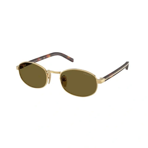 PD sunglasses   0PR B53S