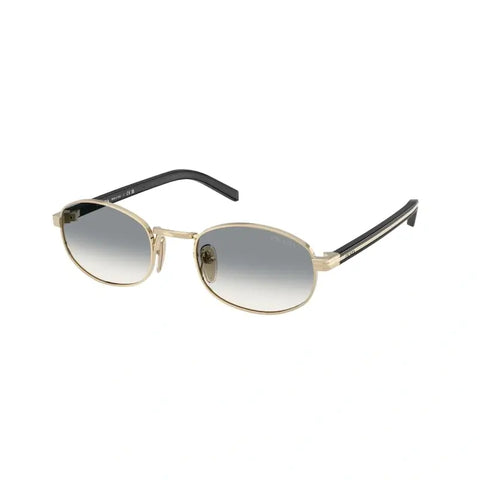 PD sunglasses   0PR B53S