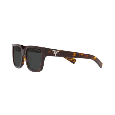 PD sunglasses   0PR 03ZS