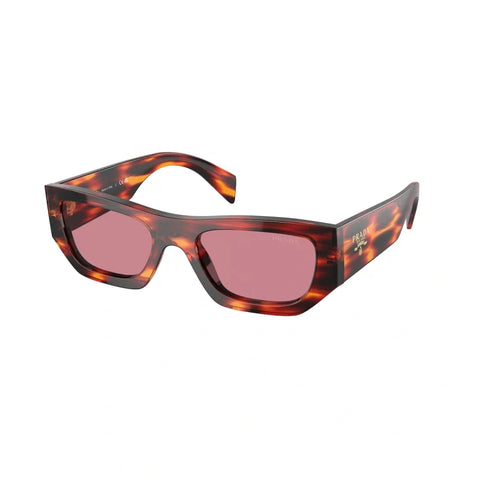 PD sunglasses   0PR A01S