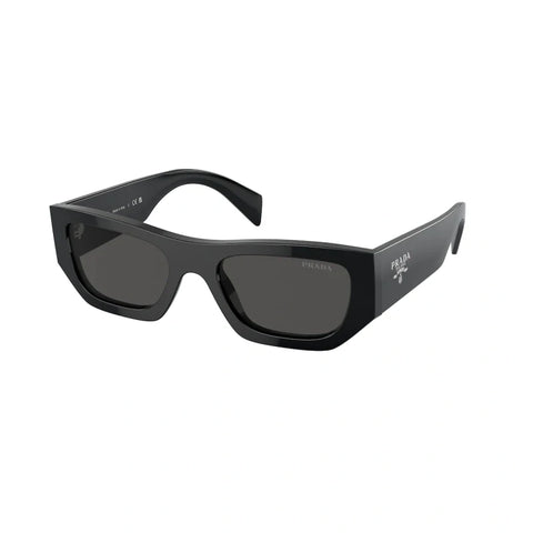 PD sunglasses   0PR A01S