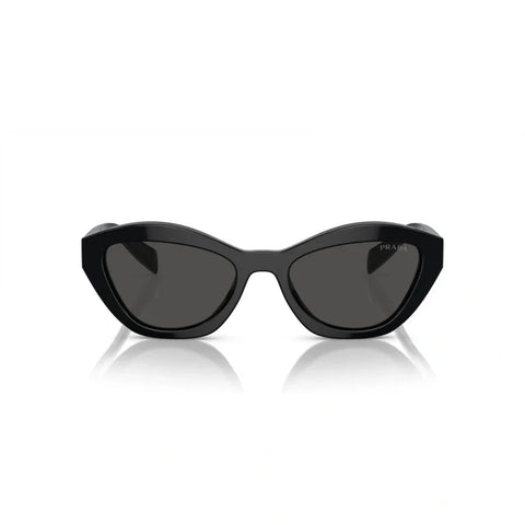 PD sunglasses   0PR A02S