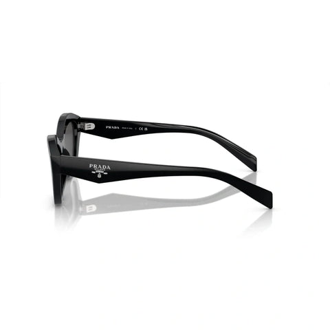 PD sunglasses   0PR A02S