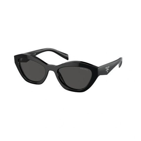 PD sunglasses   0PR A02S