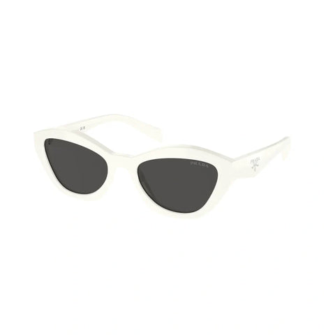 PD sunglasses   0PR A02S