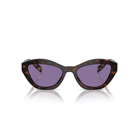 PD sunglasses   0PR A02S