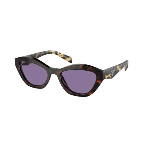 PD sunglasses   0PR A02S