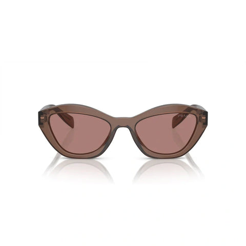 PD sunglasses   0PR A02S