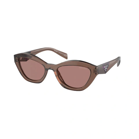 PD sunglasses   0PR A02S