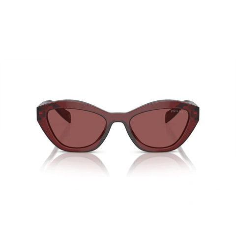 PD sunglasses   0PR A02S