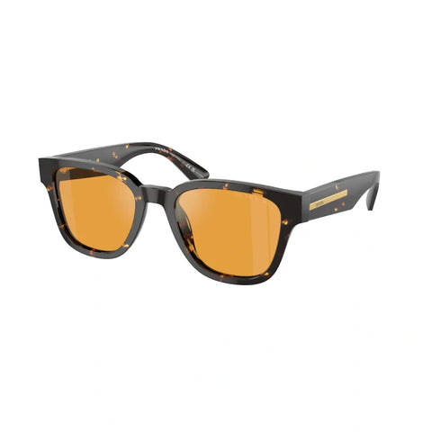 PD sunglasses   0PR A04S