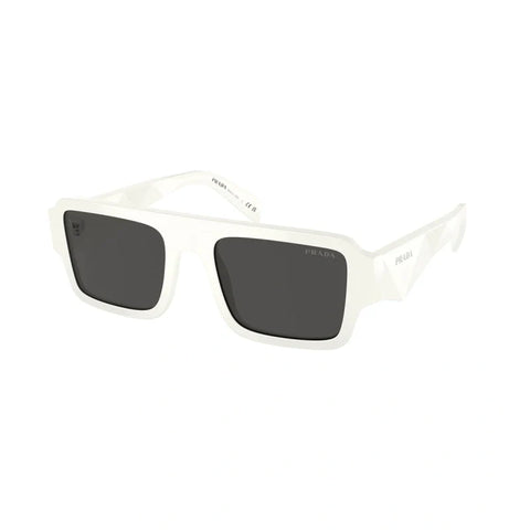 PD sunglasses   0PR A05S