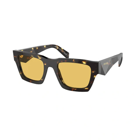 PD sunglasses   0PR A06S