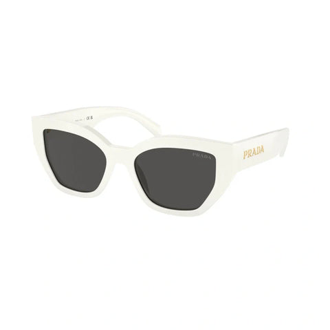 PD sunglasses   0PR A09S