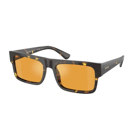 PD sunglasses   0PR A10S