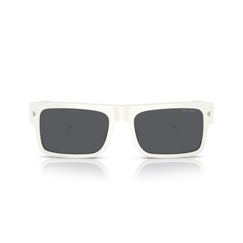 PD sunglasses   0PR A10S