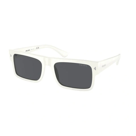 PD sunglasses   0PR A10S