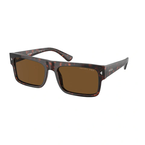 PD sunglasses   0PR A10S