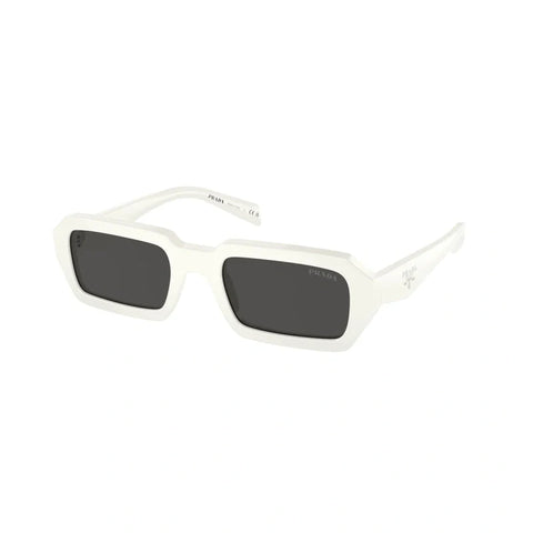 PD sunglasses   0PR A12S