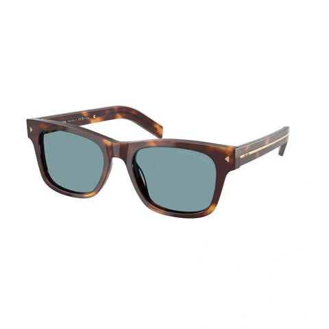 PD sunglasses   0PR A17S