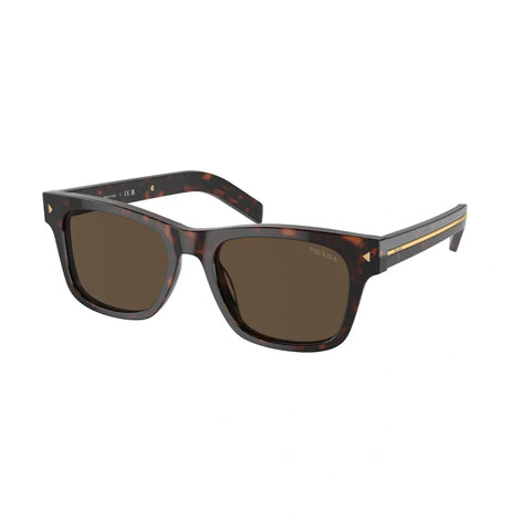 PD sunglasses   0PR A17S