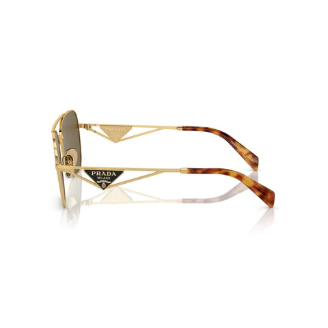 PD sunglasses   0PR A50S