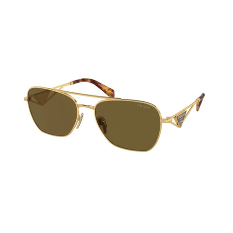 PD sunglasses   0PR A50S