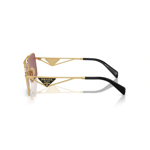 PD sunglasses   0PR A52S