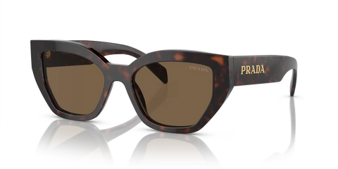 PD sunglasses   0PR A09S